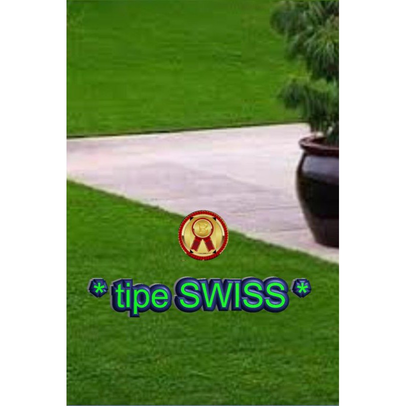 Rumput sintetis 2,5 cm < 2 meter x 2 meter >
