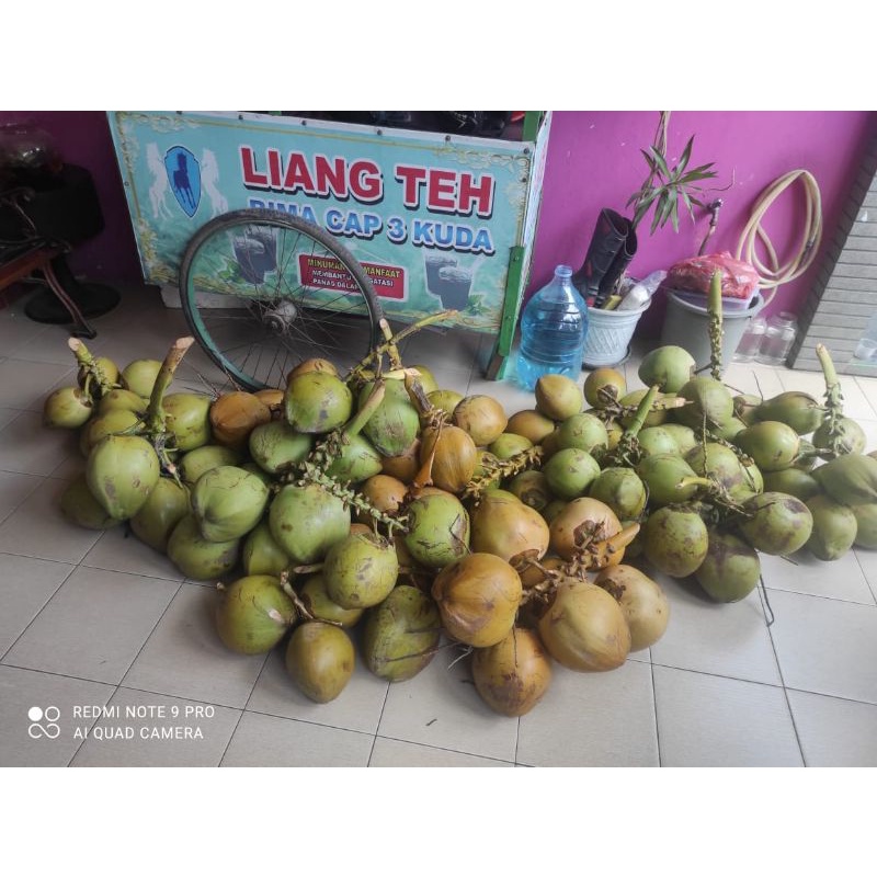 

kelapa ijo akang