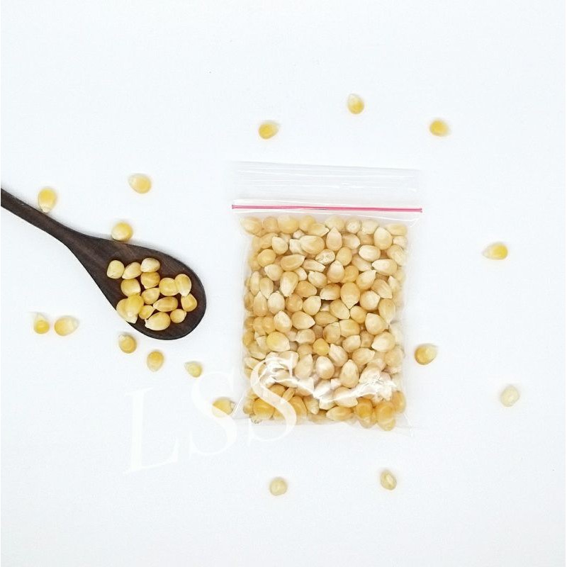 

Popcorn Kernels / Biji Jagung Pop Corn Mentah / Unpopped Corn Kemasan 50 gr
