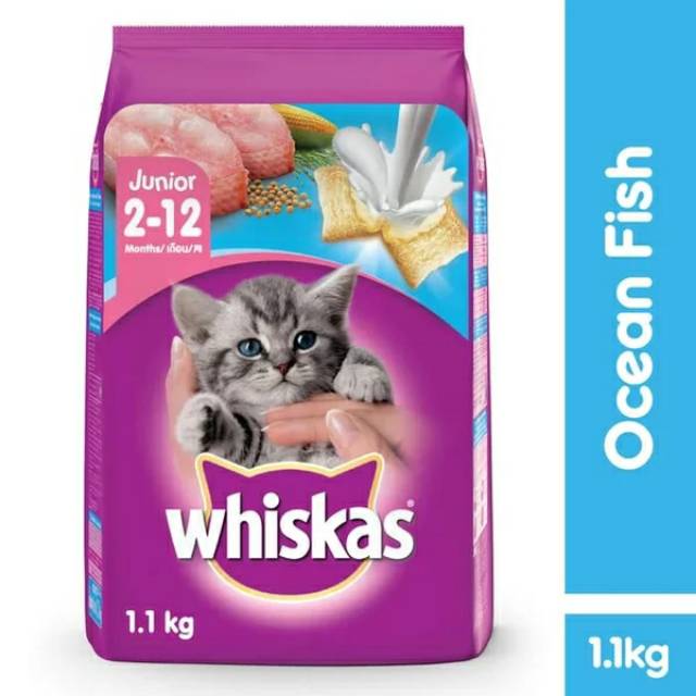 Whiskas Fresh Pack 1.1kg Junior Ocean Fish Makanan Kucing Kering 1.1 kg