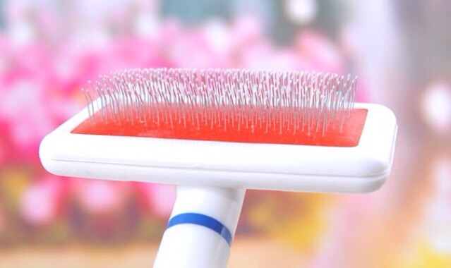 SISIR ANJING SISIR KUCING SIKAT ANJING SIKAT KUCING SISIR HEWAN MURAH PET BRUSH PET GROOMING BRUSH