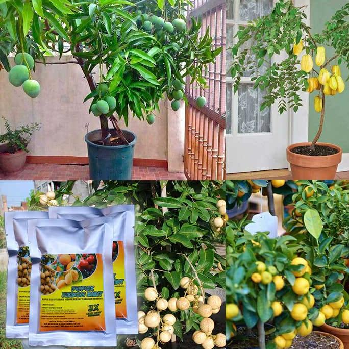 PUPUK KEBON BIBIT BELI 1 DAPAT 2 TERLARISS...,,,,,