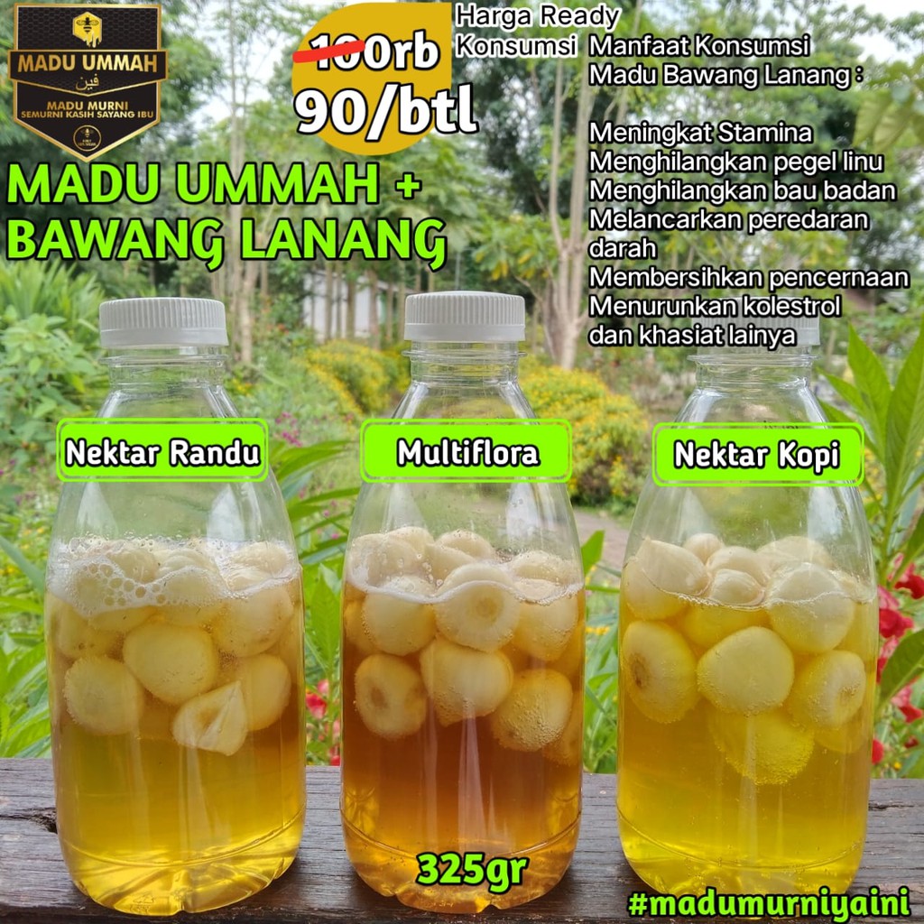

Madu Bawang Lanang