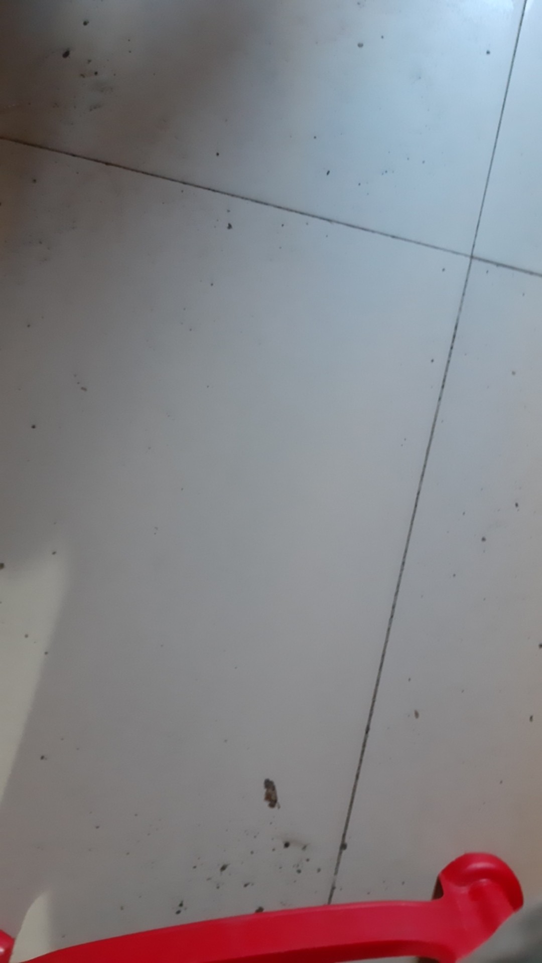 [300 Gram] Kotak Sepatu Tebal Lipat / Box Sepatu Lipat / Kotak Sepatu Transparan Cod
