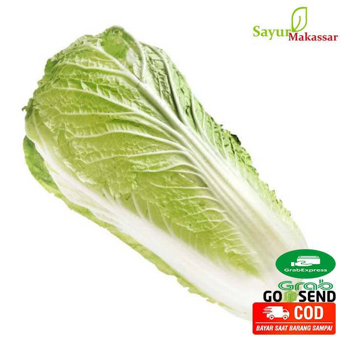 

Sawi Putih 1 kg / Chinese Cabbage / Sayur Makassar / Sayuran Fresh