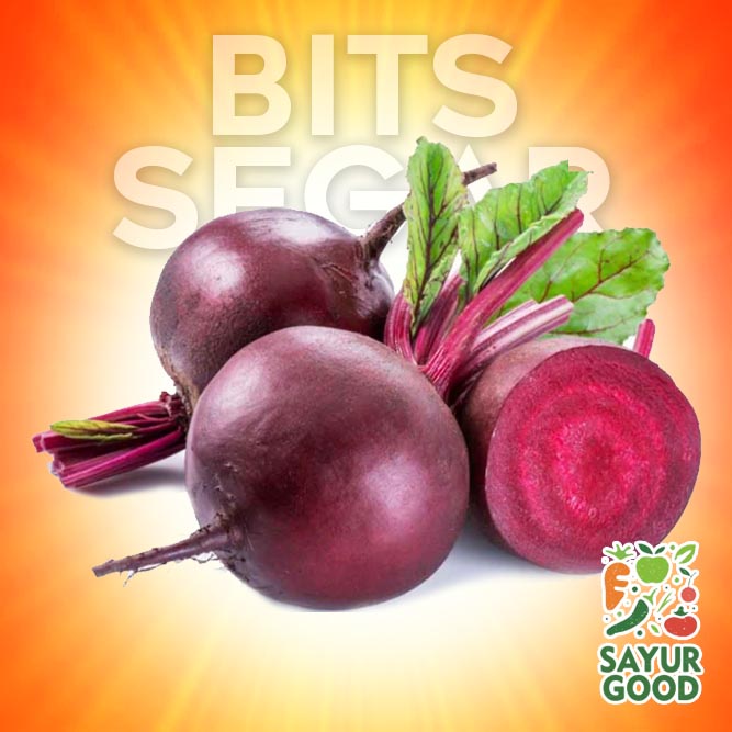 

Buah Bits / Bit / Buah Bits Segar / Ubit Bit Merah / 500 gram (Buah Segar)
