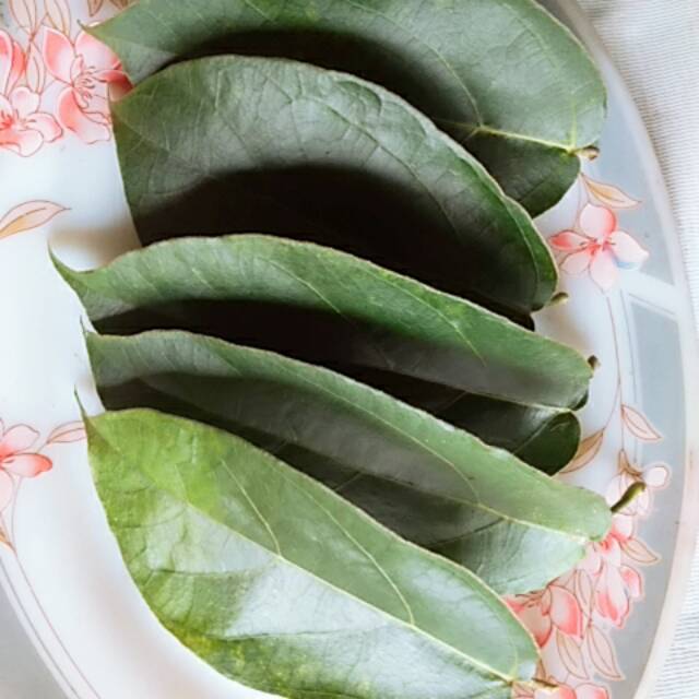 

Daun cincau jelly paling murah berkhasiat metik sendiri