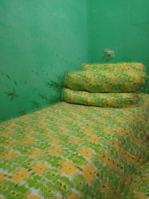 Kasur Busa Bigfoam Standar All Size (promo Harga)