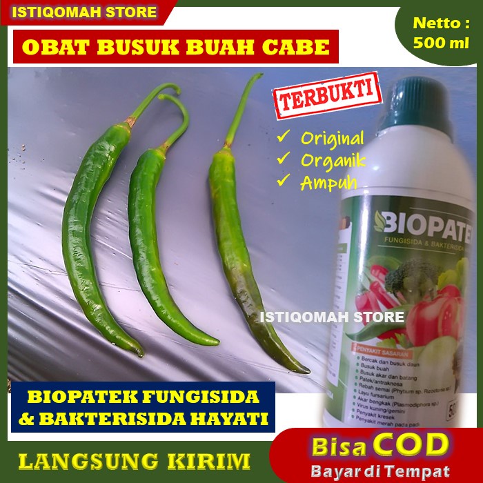 Fungisida BIOPATEK 500ml Obat Busuk Buah Cabe Paling Ampuh - Obat Busuk Buah Cabai Keriting - Obat Anti Busuk Buah Cabe - Obat Pencegah Busuk Buah Cabe - Obat Agar Buah Cabe Tidak Busuk - Obat Penyakit Busuk Buah Pada Cabe Cabai BIOPATEK Fungisida Hayati