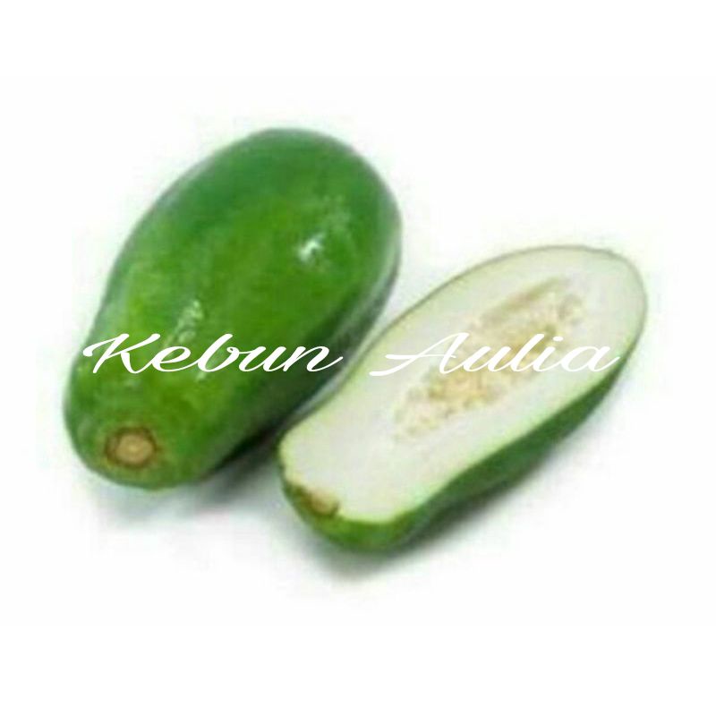 

Buah pepaya segar/pcs