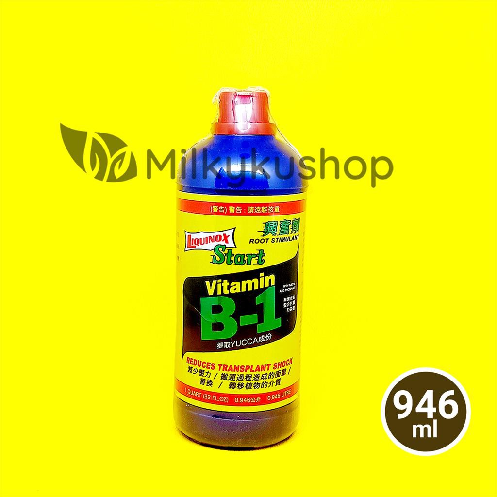 LIQUINOX VITAMIN B1 TAIWAN 946 ML