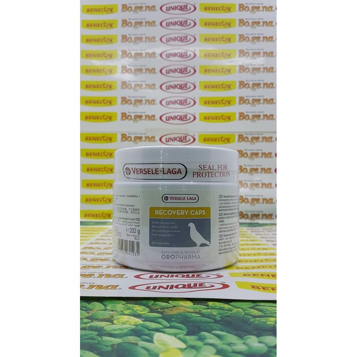 VERSELE LAGA - RECOVERY CAPS ISI 10 CAPSUL