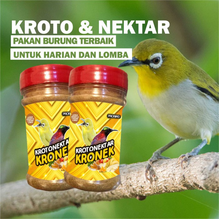 MAKANAN BURUNG KROTO NEKTAR UNTUK PLECI DAN KOLIBRI | KROTO UNTUK PLECI DAN KOLIBRI - KOEDAPAN BIRD 