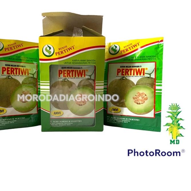 ✨MEGA ⚡ALE✨ Benih/Bibit melon Pertiwi anvi F1 13 gram by pertiwi produck terbaik