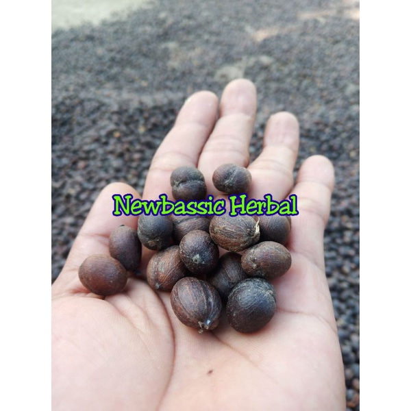 

buah kopi kering kulitan