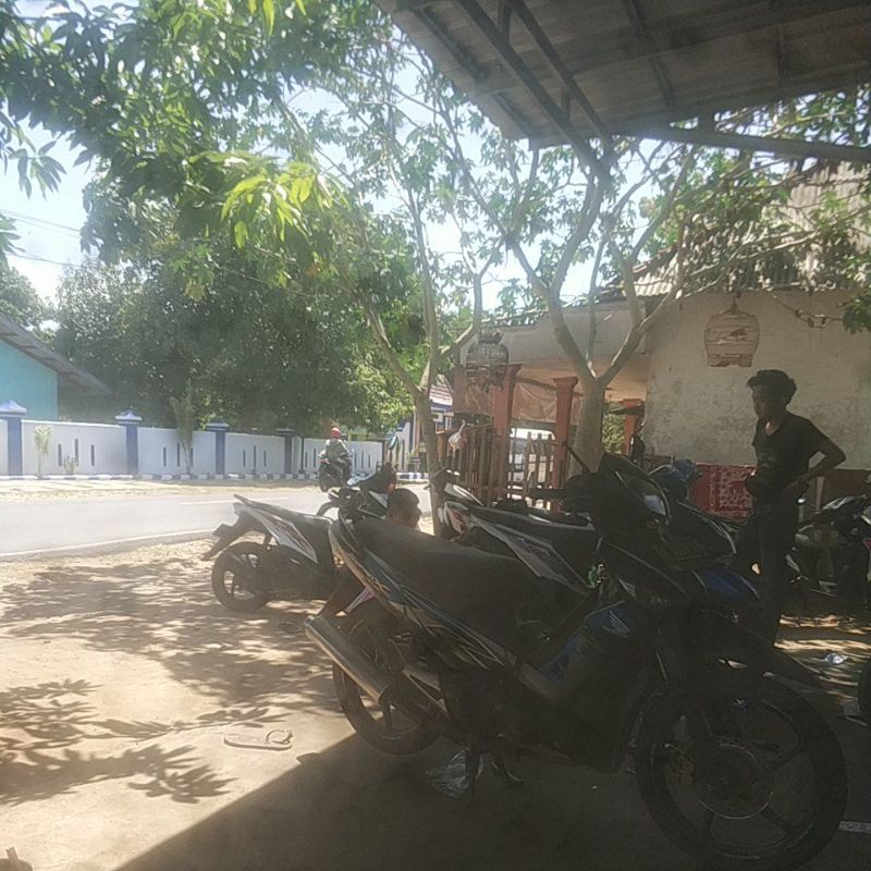 paket parabola kvision (k-vision )/ nexparabola siap pasang