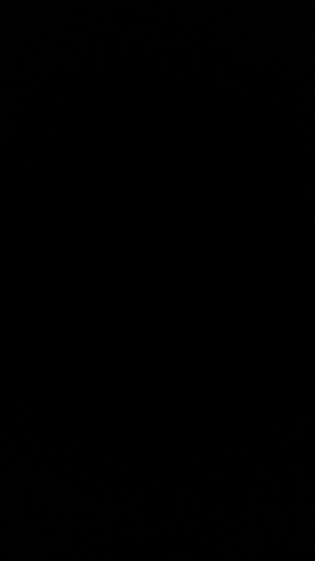 Panca Guna / Pancaguna Panci Kukusan Langseng 30cm Alumunium