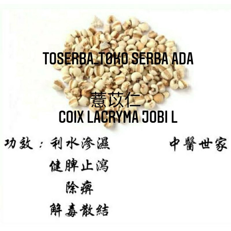 

100gr Herbal Yi Yi Ren Yi Mi Ren 薏苡仁 Semen Coicis Lachryma Jobi Jali Enjelai Premium Grade