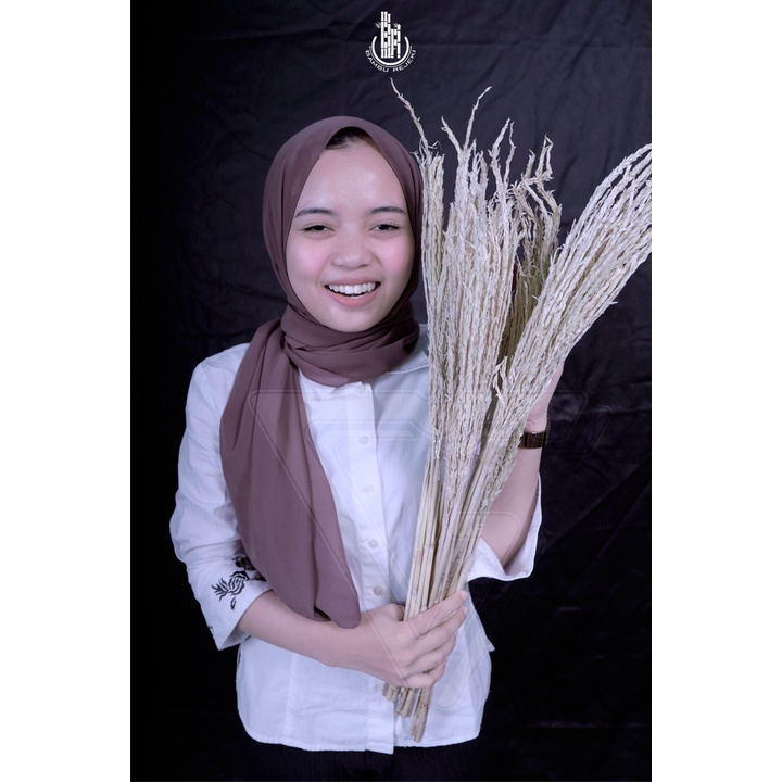 HOME DECOR BUNGA JAGUNG KERING HIASAN RUMAH, BUKET, BUNGA CORNELIA PESTA MURAH MERIAH!! - PUTIH