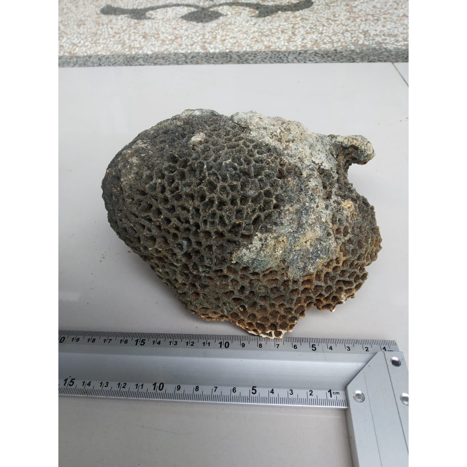 BATU KARANG GUNUNG UNTUK BONSAI DAN AQUASCAPE