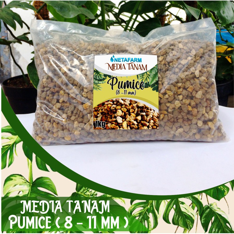 Media Tanam / Filter PUMICE / Batu Apung Kerikil size 8 - 11 mm - 1kg