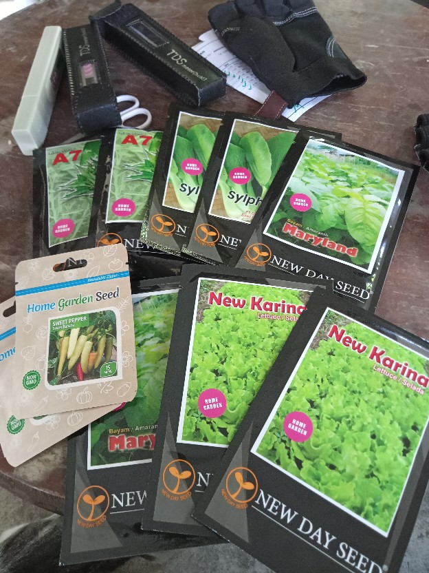 Benih New Day Seed Selada Karina