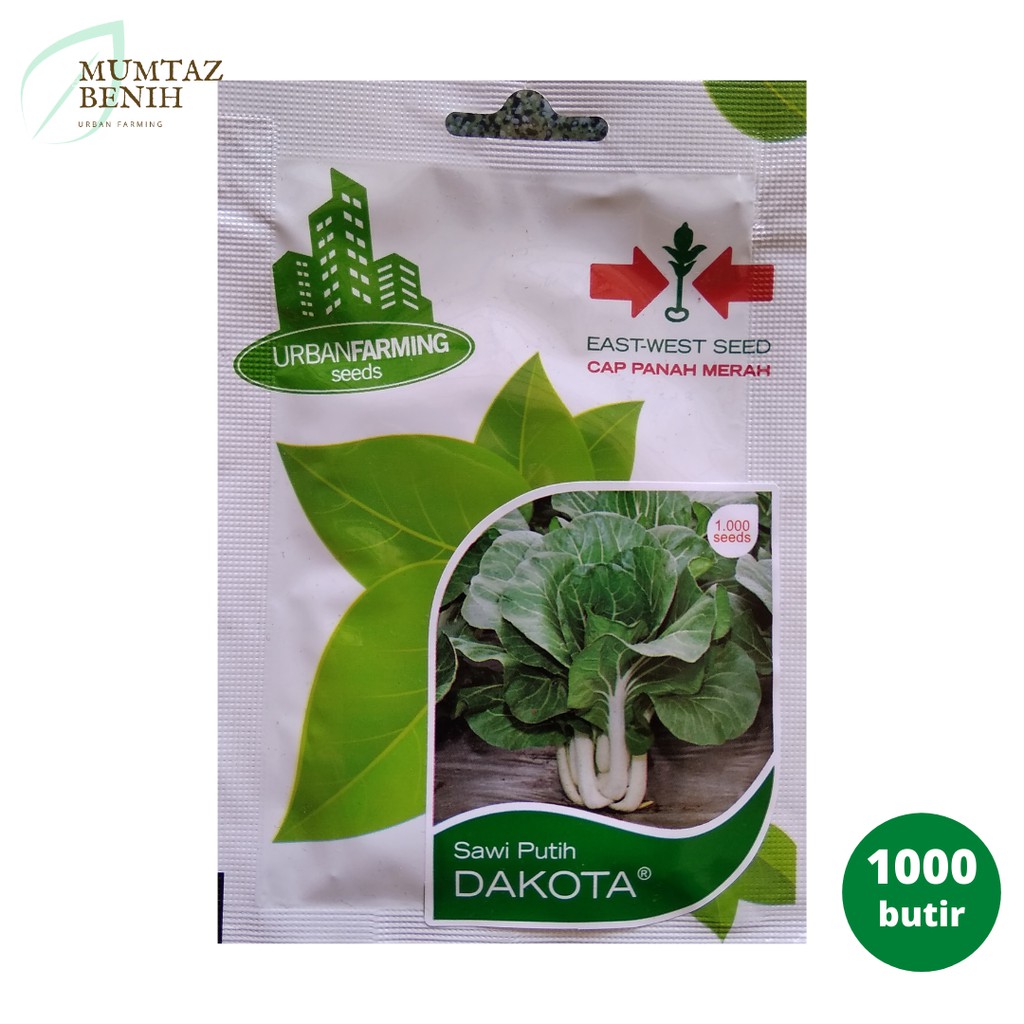 Benih Sawi Putih Dakota (Cap Panah Merah)
