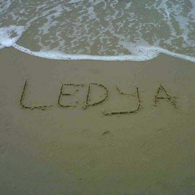 ledyaamri