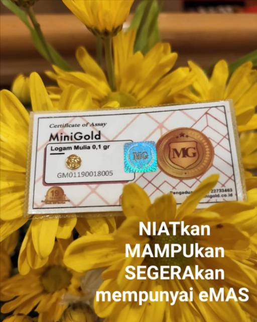 Paket Reseller Mini Gold