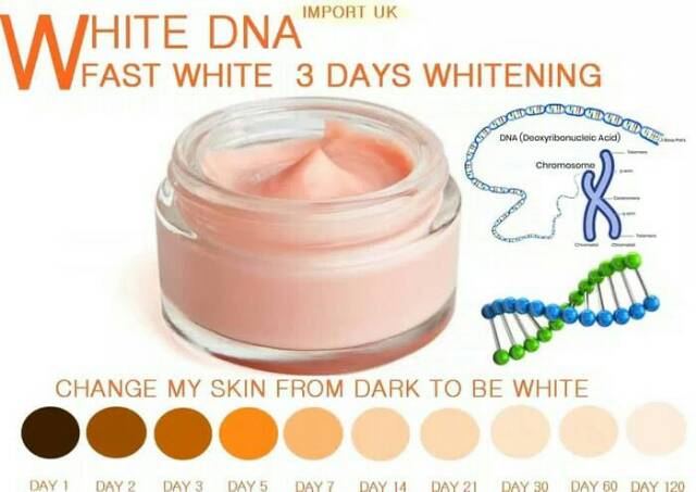 CREAM WHITE DNA PUTIH DALAM 3 HARI