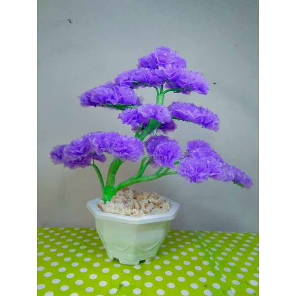 Bonsai Plastik | Tanaman bonsai