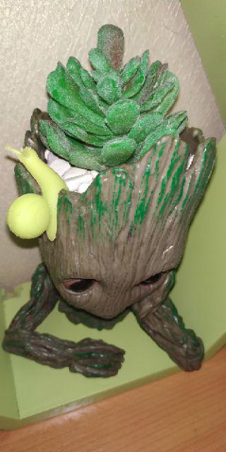 Hiasan Kaktus Palsu, Seculen Artifisial, Kaktus Imitasi