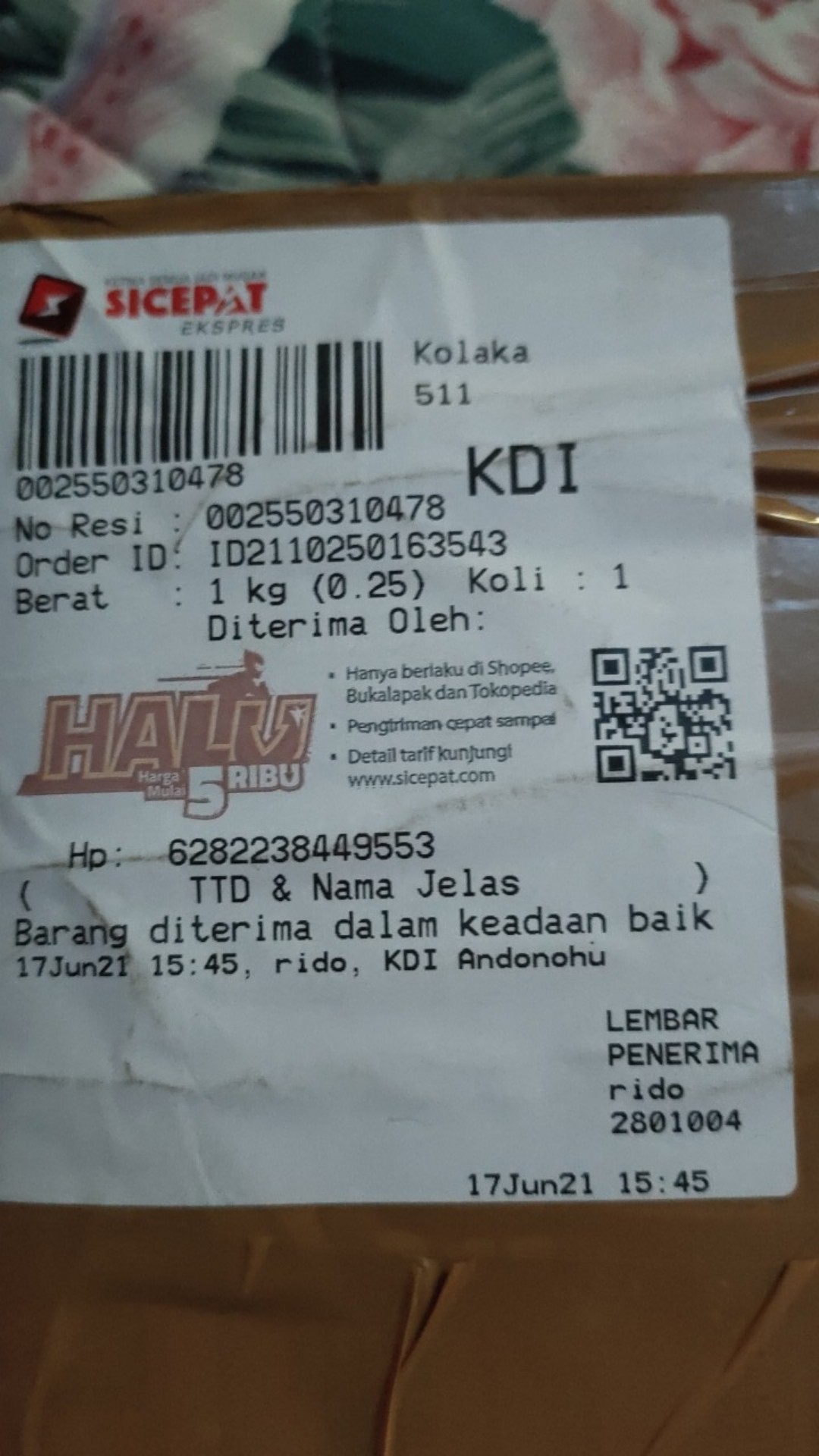 Biji Bunga Lavender Import High Quality Seeds