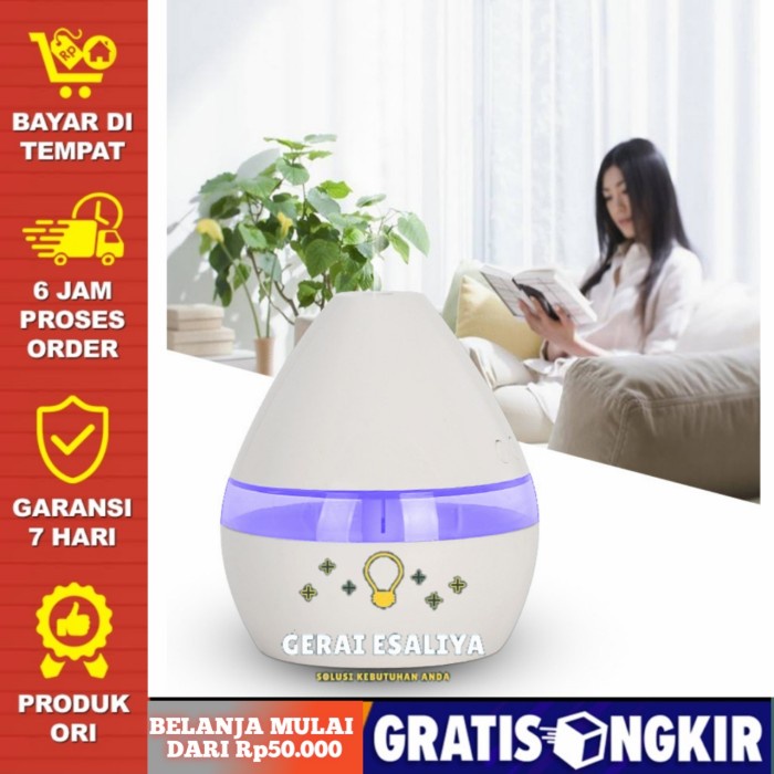 Air Humidifier Aromatherapy Oil Diffuser Night Light 300ml - HUMI H296