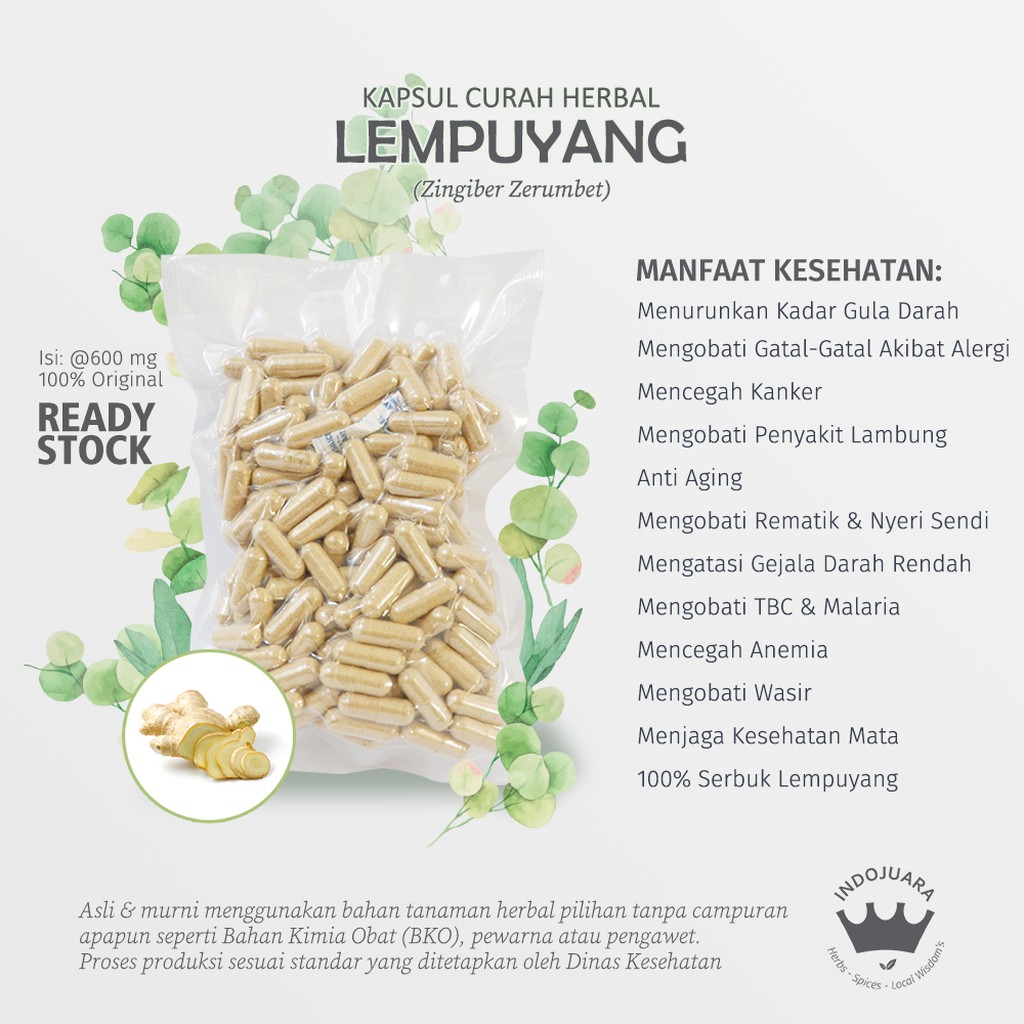 

LEMPUYANG 200x600mg Kapsul Curah Herbal Wasir Batuk Rejan Anti Aging Darah Rendah Kejang Rematik TBC
