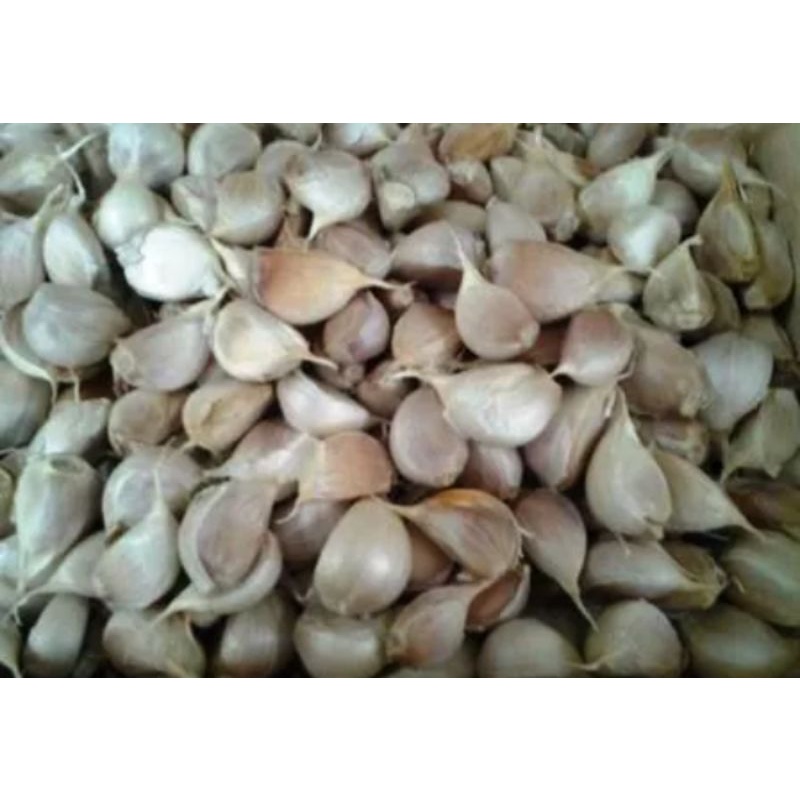 

Bawang putih protol 1/4 kg
