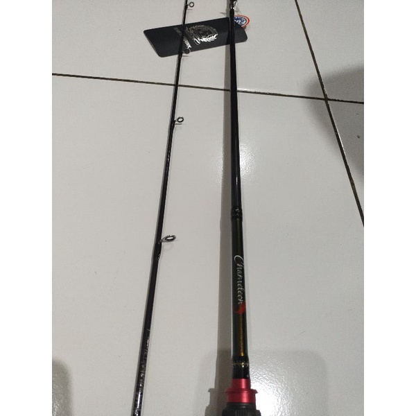 joran bait casting seahawk chameleon 602MHB