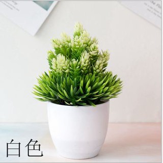 PTT ORNAMEN TANAMAN POHON PINUS ARTIFICIAL FLOWER PTT ORNAMEN TANAMAN POHON PINUS ARTIFICIAL FLOWER