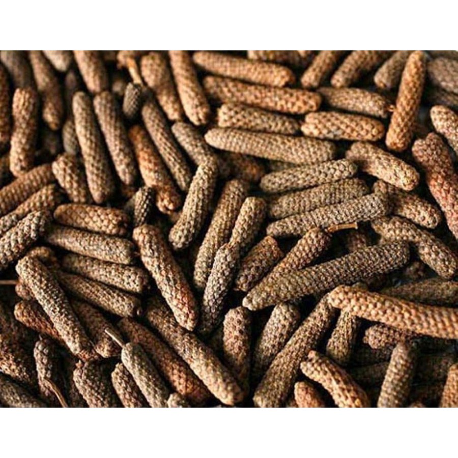 

Cabe Jawa Piper retrofractum