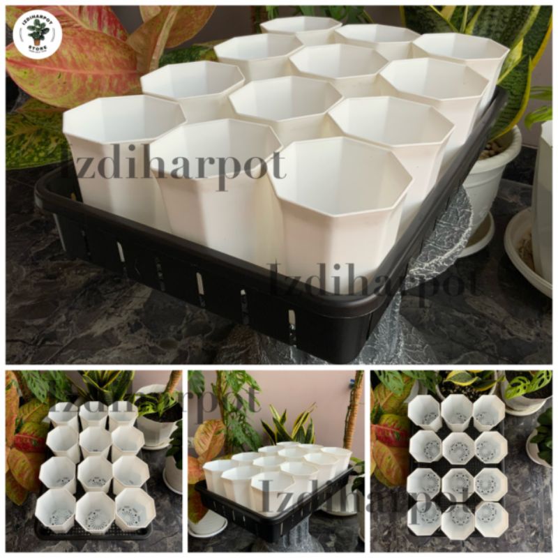 1 SET TRAY + 12 POT PAGODA 10 PUTIH TRAY POT NKT 50CM | TRAY SEMAI BIBIT