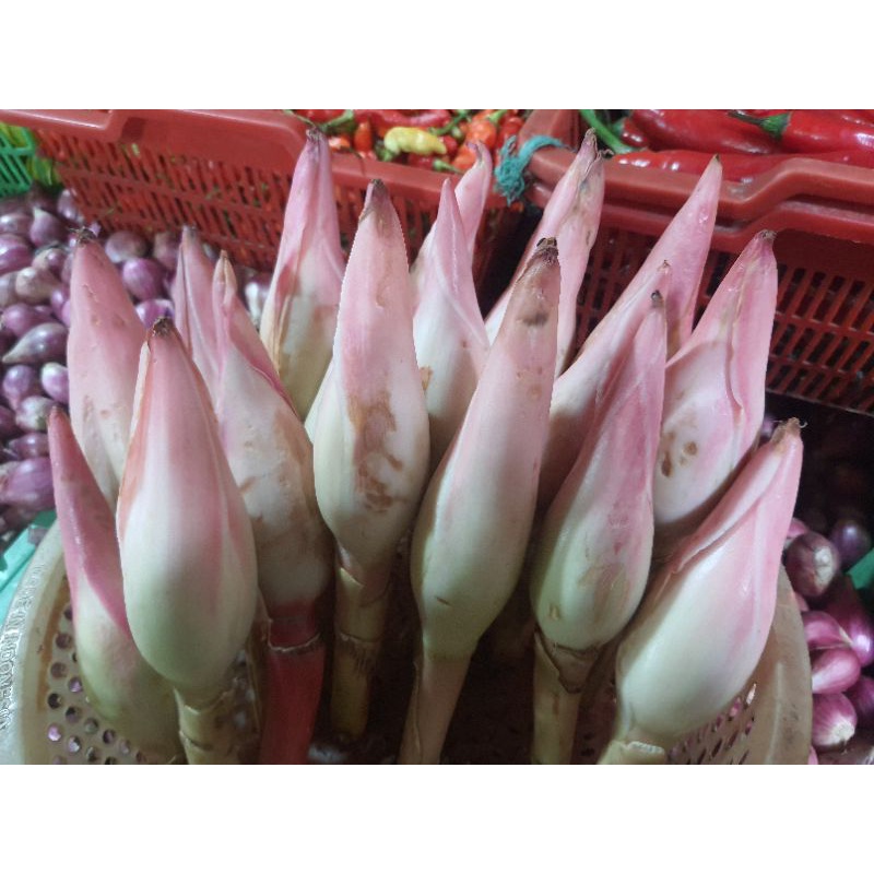 

[SKD Bumbu] KECOMBRANG MEDAN 250 Gram