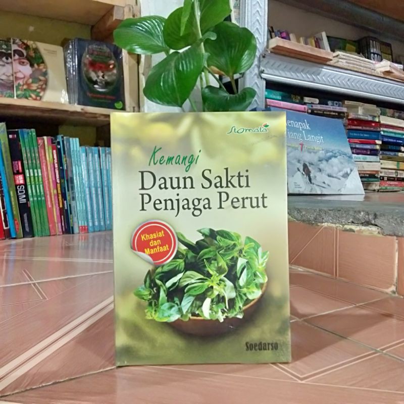 

KEMANGI DAUN SAKTI PENJAGA PERUT