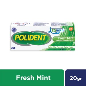 POLIDENT 20GR