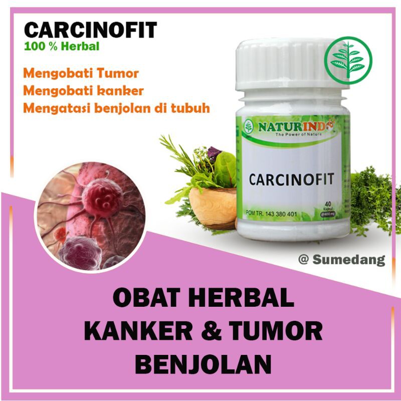 CARCINOFIT obat herbal Kanker dan tumor dengan gejala bengkak Benjolan dan nyeri serta luka basah-4