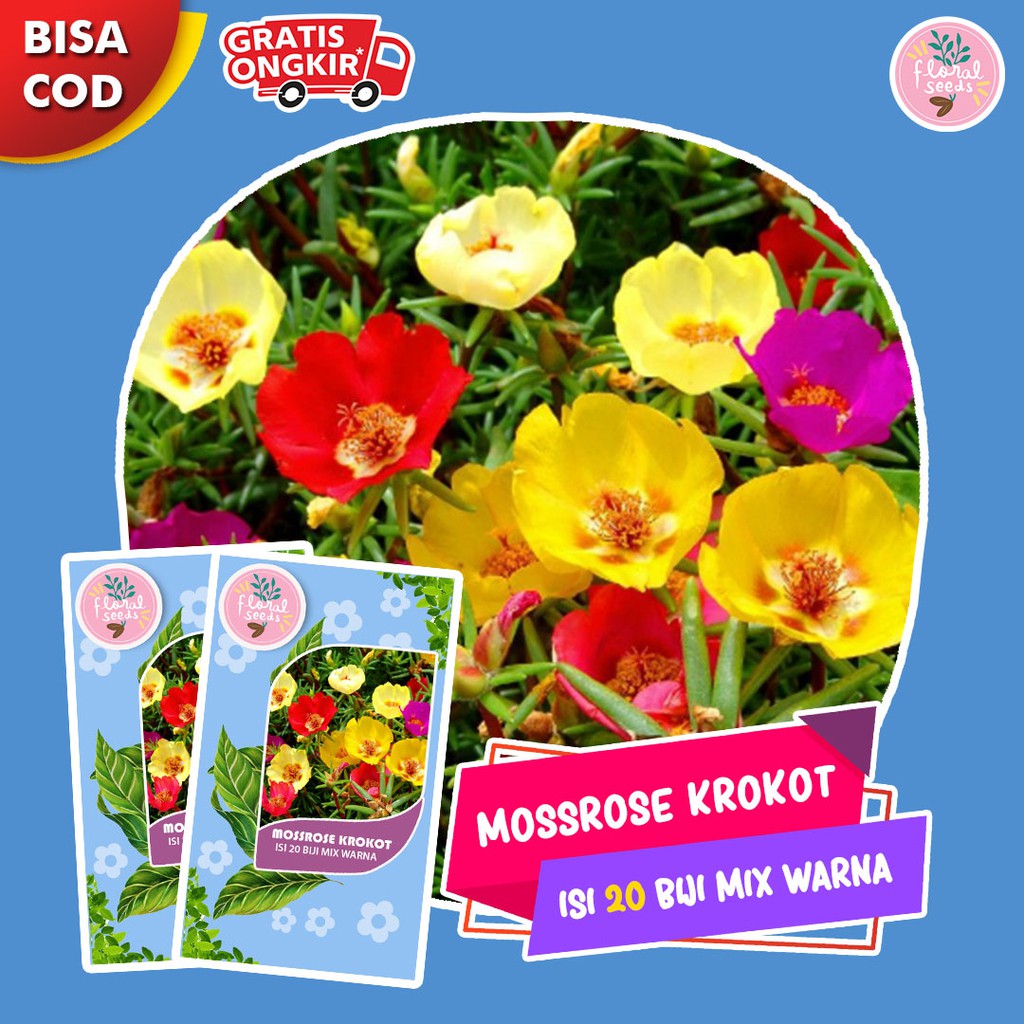 Bibit Benih Bunga Krokot Mossrose Isi 20 Biji Mix Warna Warni