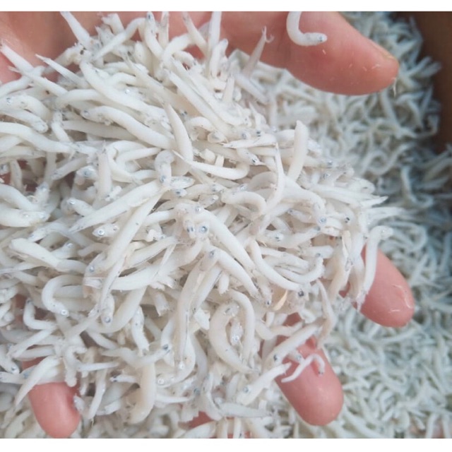 Ikan Teri Toge Medan Super asli belawan 1000 gram dijamin tidak asin