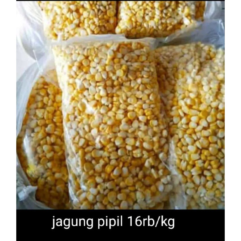 

Jagung Pipil Manis