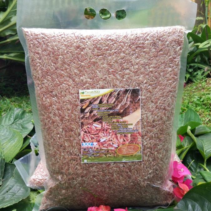 

Beras Merah Sosoh (5Kg) Enak Pulen Fresh Baru Panen dari Sawah Sendiri