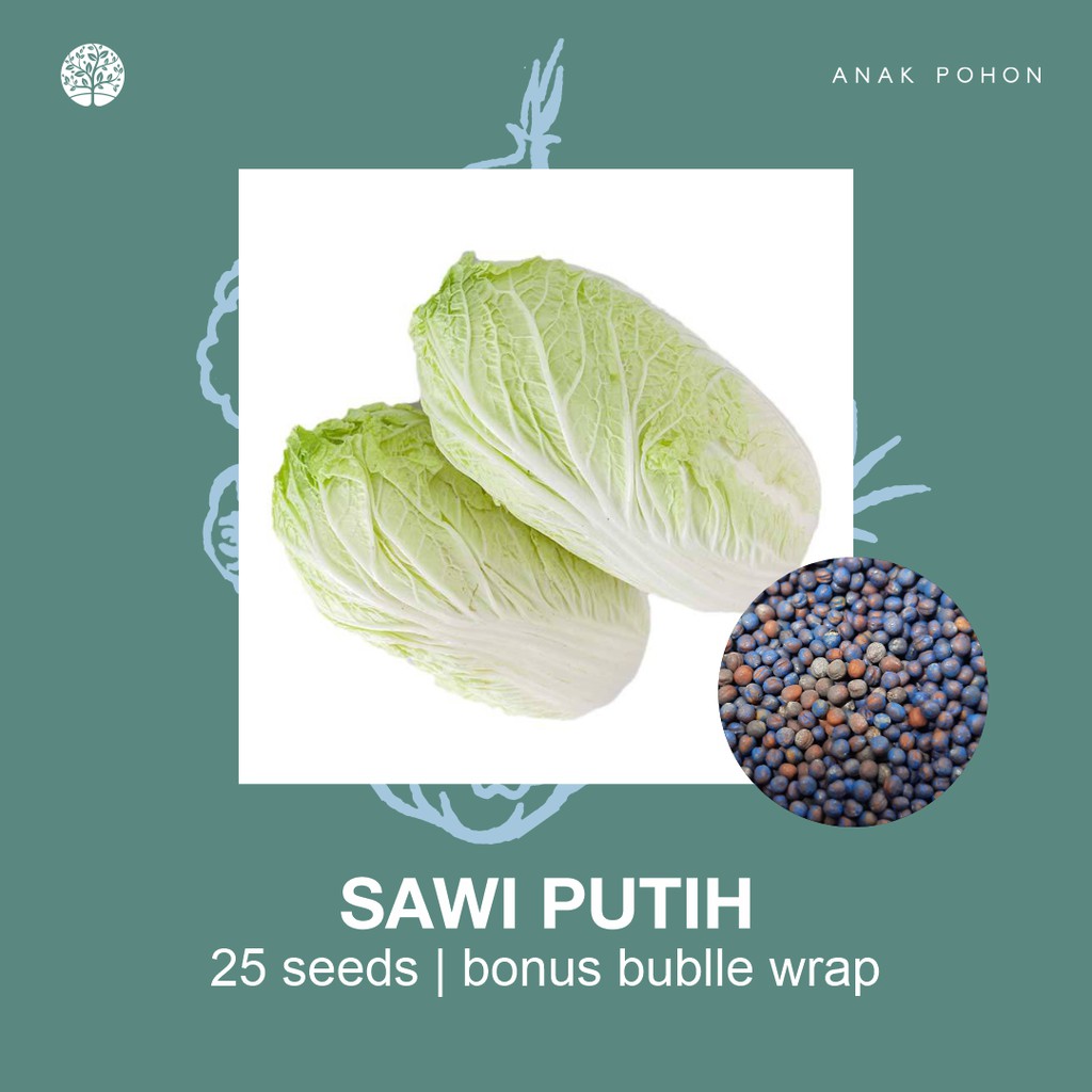 SERBA SERIBU - Benih Bibit Biji - Paket Benih Sayuran DAUN Termurah Kangkung Sawi Selada Seledri Kol-Sawi Putih Kimchi