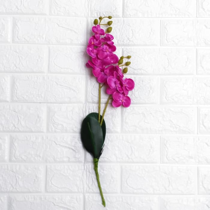 

BURUAN BELI BUNGA ANGGREK DAUN 2C - BERKUALITAS